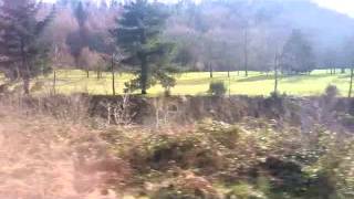 Andrius Pojavis. Traukiniai