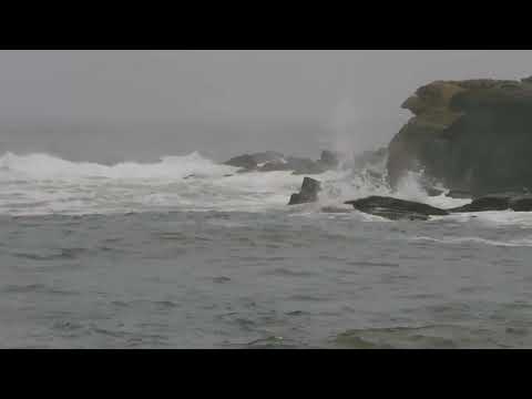 Never Return by Carvings - A Music Video