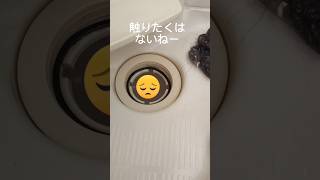 お風呂の流れがクソ悪い！原因は排水口の髪の毛！油断するとクソ貯まる！定期的に掃除しておこう！