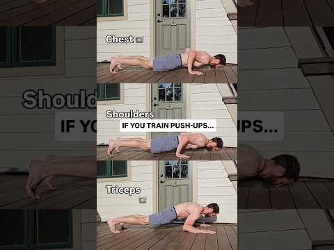 You Only Need These 8 Exercises 📈