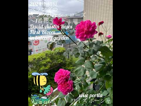 バルコニーの花: 想像力豊かに組み合わせたもの トピックス