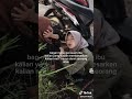 Viral Cewek Mabuk