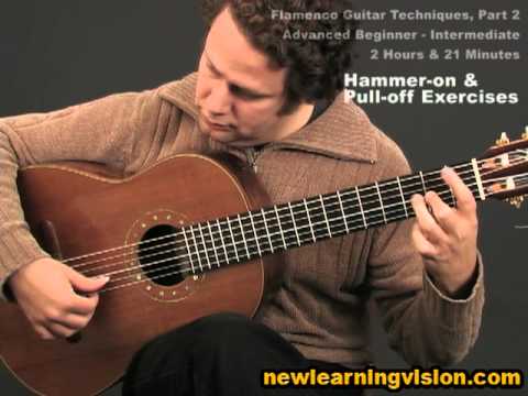 Demo of Flamenco Guitar Techniques Part 2 by Adam del Monte (Adv. Beginner-Intermediate)