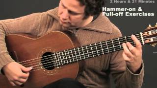 Demo of Flamenco Guitar Techniques Part 2 by Adam del Monte (Adv. Beginner-Intermediate)