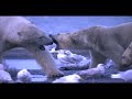 Wild Alaska Promo For Animal Planet