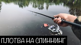 Рыбалка плотвы на неве