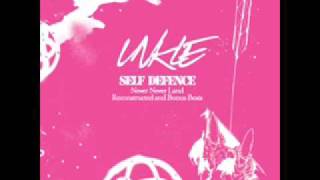 Unkle - Burn my shadow