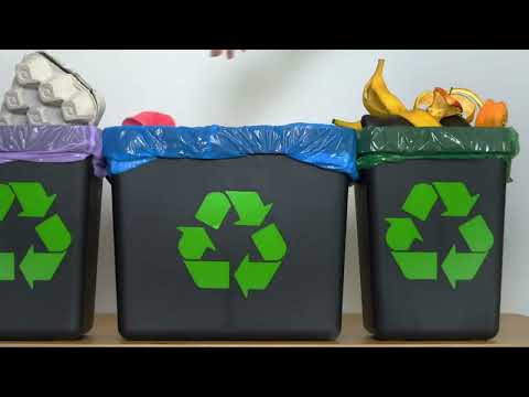 Help the Planet. Helping the Environment. How to Take Care of the Environment | English Portal