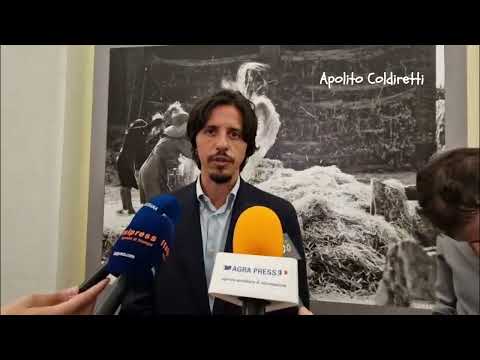 Tavolo grano: intervista ad Alessandro Apolito, capo servizio tecnico coldiretti