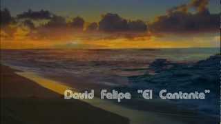 David Felipe El Cantante Voy a Entregar Mi Corazón HD