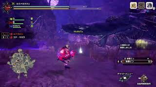 狩ってみよう[MHRSB]★21 参加OK ＃サンブレイク