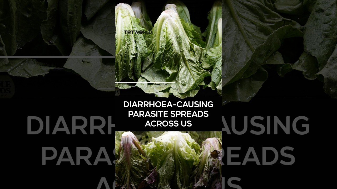 Cyclospora parasite outbreak infects over 18,000 across 45 states, linked to imported Mexican lettuce