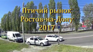 Где в Ростове птичий рынок