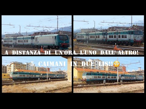 5 CAIMANI in 2 LIS! Stazione di Messina Centrale!!