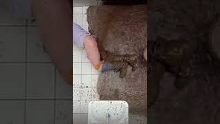 That’s why we got two bathrooms ✨✨