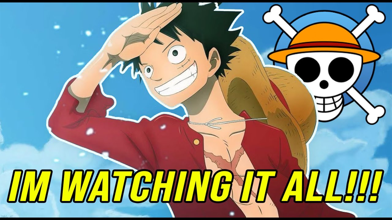 Watching all of One Piece SO YOU DONT have to!