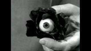 Make Your Own Mother