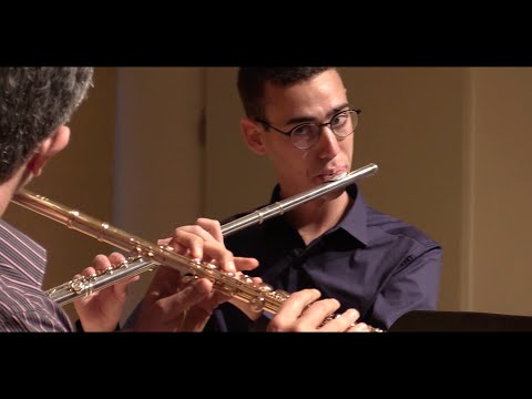 F. Doppler - Andante et Rondo, Op.25 for 2 Flutes and Piano (HD)
