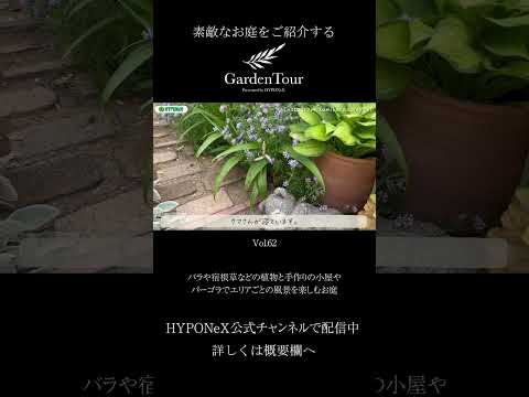 パーゴラに適したつる性の植物はどれですか?高く成長する美しい花を咲かせる7つの品種  庭園