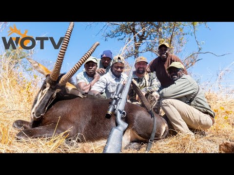 Hunting Sable in Zimbabwe