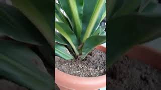 Download lagu 21 September 2022 mp3 Download lagu 21 September 2022 mp3