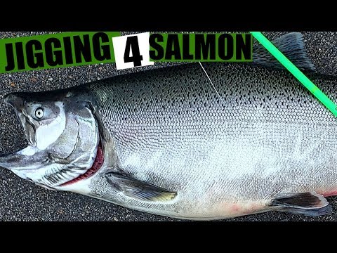 Lake Michigan Fishing: King Salmon [WARNING MONSTER KING]