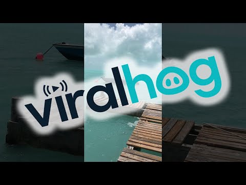 Hurricane Irma Returns Water To Bahamas Beach || ViralHog