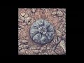 Tuna De Tierra Tuna De Tierra Full Album 2017