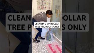 Cleaning with products only from Dollar Tree! #dollartreehaul #dollartreefinds #cleaningtutorial
