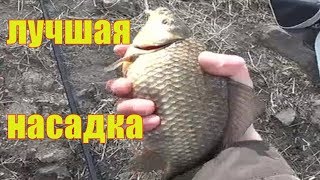 Рыбалка в апрели на карася