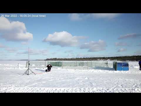 LIVE  Porokilpailut / Reindeer Races