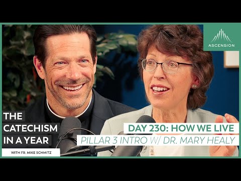 Day 230: How We Live (Part 3 Introduction with Dr. Mary Healy)