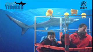 DIA 2 Expo Tiburon245