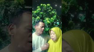 Download lagu Hampir saja # Rhoma irama feat elvy sukaesih. mp3