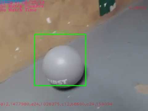 ZebraVision 4.0 Ball Tracking Demo