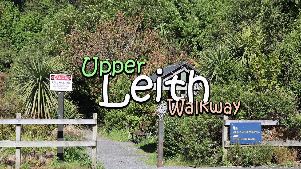 Join a explorer on her walk through the peaceful natural sanctuary.