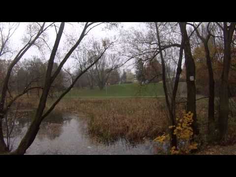 Pustkovecký rybník