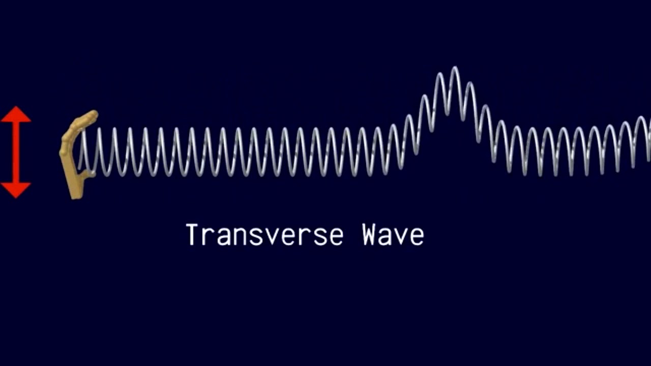 O-level Physics: Waves Part 1