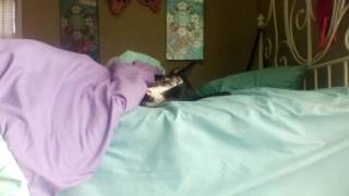 I scared my sleepy puppy ≧∇≦