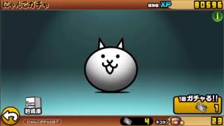 にゃんチケ6連引き【にゃんこ大戦争】