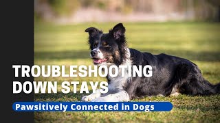 Troubleshooting the Down Stay Walk Around