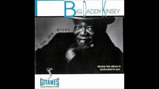 BIG  DADDY  KINSEY (Pleasant Grove, Mississippi, U.S.A) - Nine Below Zero