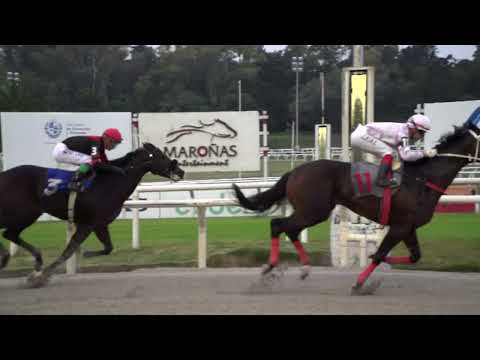 230423 c09 SHOOTER (BRZ)