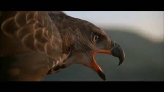 front 242 | seq666 P