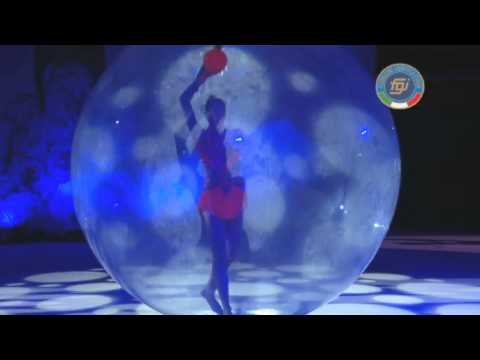 GOLDEN BUTTERFLY GALA