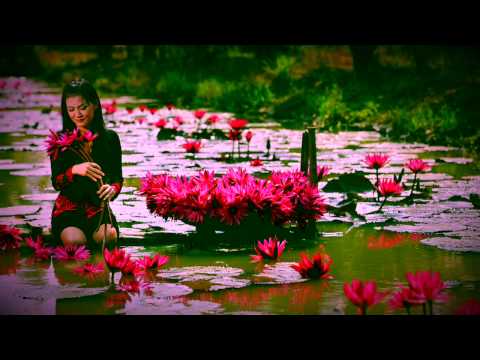 Vilak Nelum Mal Aragena - Ajith Bandara