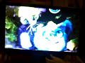 Davenport And Zoe Are Funny Cats