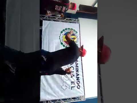 Anestesia vs Trasty - Batalla final