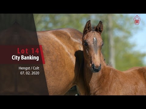 14  City Banking Hengst v. Conthargos - Casallco