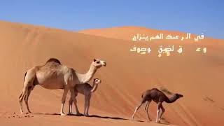 كانك بغيت تعيش مرتاح